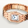 Cartier Panthere de Cartier WJPN0009