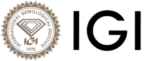 cropped-logo_IGI-1